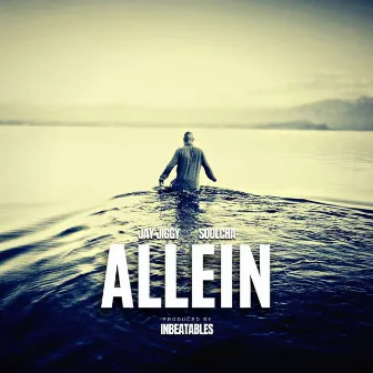 Allein by Soulcha