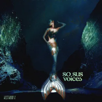 Voices EP by So Sus