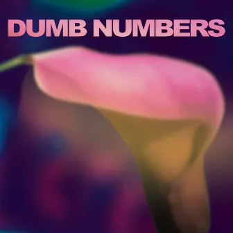 Dumb Numbers by Dumb Numbers