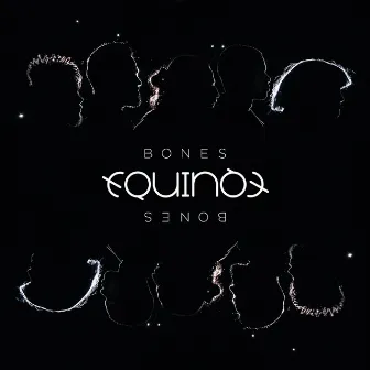 Bones by Equinox