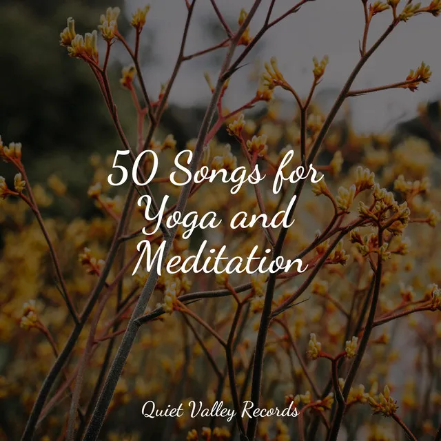 50 Songs for Yoga and Meditation