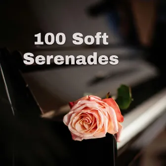 100 Soft Serenades by Milosz Magin