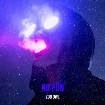 No Fun by Zoo Owl