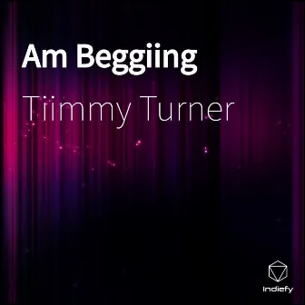 Am Beggiing by Tiimmy Turner