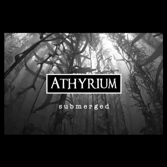 Submerged by Athyrium