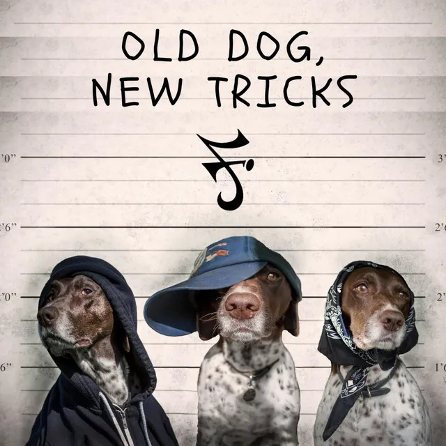 Old Dog, New Tricks