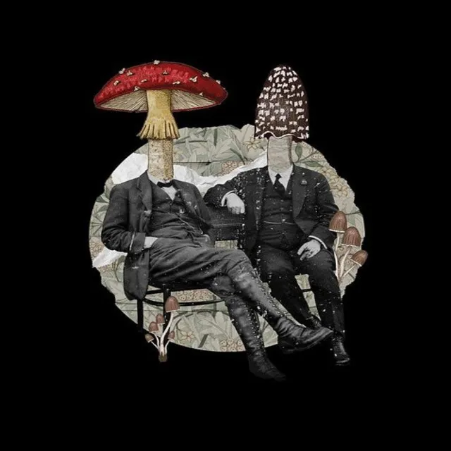 SHROOM TALK