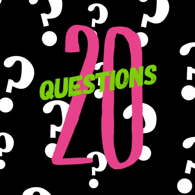 20 Questions