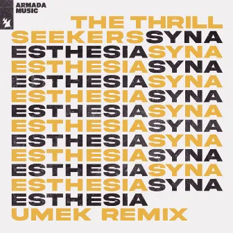 Synaesthesia (UMEK Remix) by En-Motion