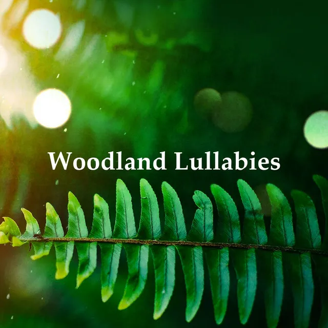 Woodland Lullabies