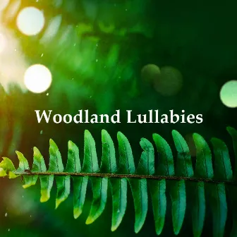 Woodland Lullabies by Unknown Artist