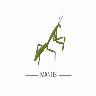 Mantis by Durazzo Lupo