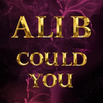 Could You by Ali B