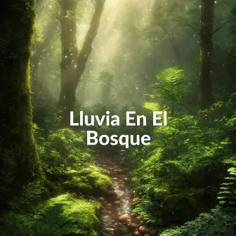 Lluvia En El Bosque by Lluvia Nocturna