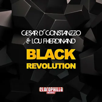 Black Revolution by Cesar D' Constanzzo