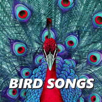 Bird Songs by Relaxing Bird Sounds