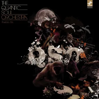 Pushin On by The Quantic Soul Orchestra