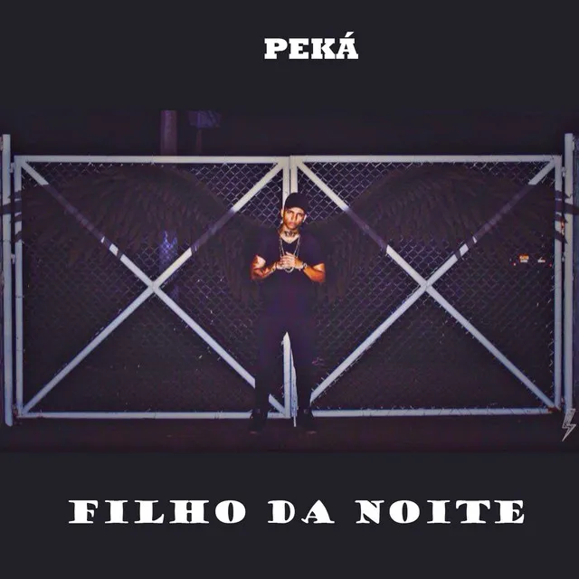 Filho da Noite