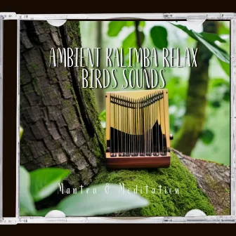 Ambient Kalimba Relax, Birds Sounds by Mantra & Meditation