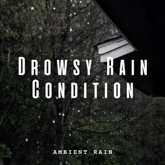 Ambient Rain: Drowsy Rain Condition by Hawaiian Explosion