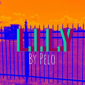 L.I.L.Y by Pelo