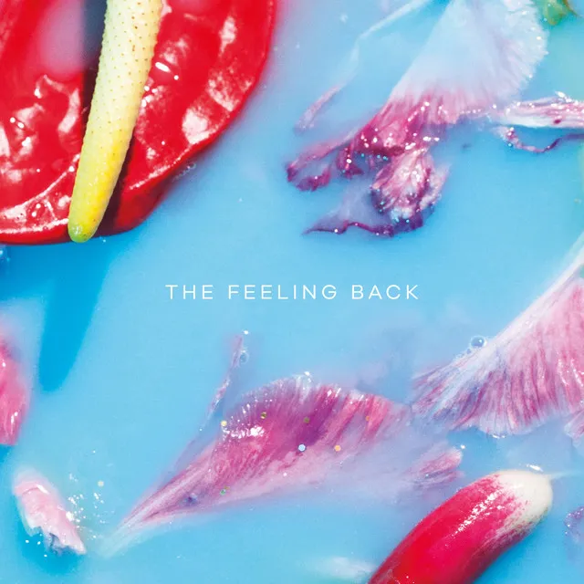 The Feeling Back - Edit