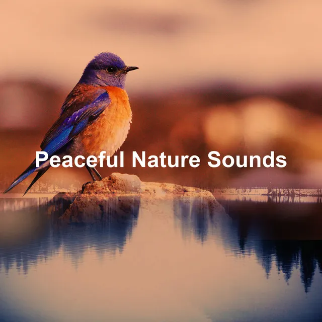 Peaceful Nature Sounds