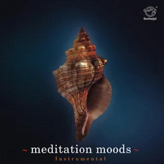 Instrumental Moods by Vamanan