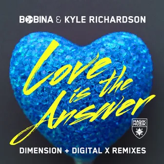 Love Is the Answer (Remixes) by Kyle Richardson