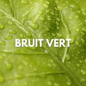 Bruit Vert by Relaxation naturelle du bruit blanc