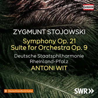 Stojowski: Symphony in D Minor, Op. 21 & Suite for Large Orchestra in E-Flat Major, Op. 9 by Zygmunt Stojowski