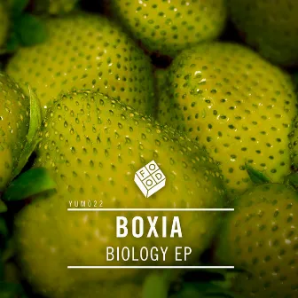 Biology EP by Boxia