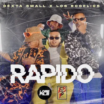 Rapido by Dexta Small