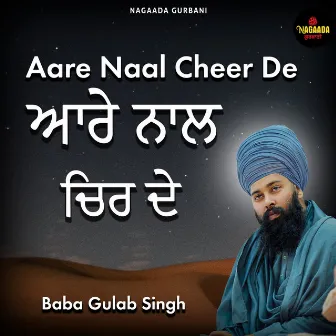 AARE NAAL CHEER DE by Nagaada Music