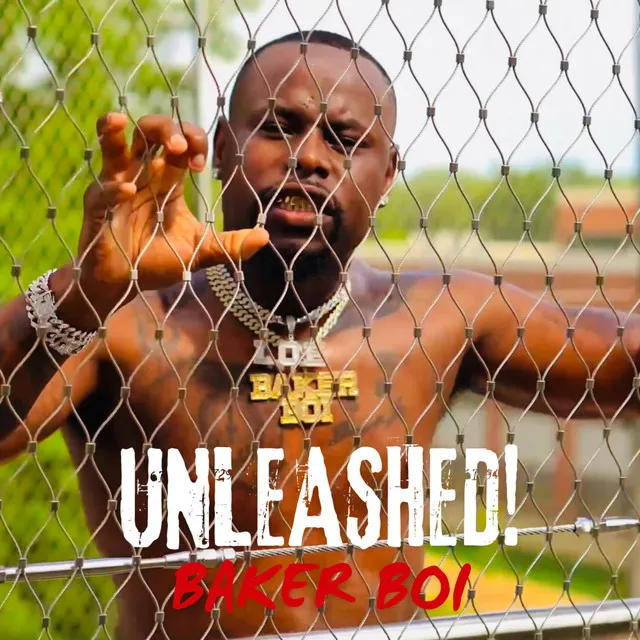 UNLEASHED! VOL 1