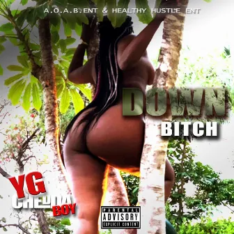 Down Bitch by YG Cheddaboy