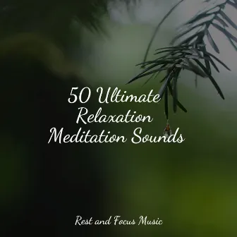 50 Ultimate Relaxation Meditation Sounds by Sleep Music