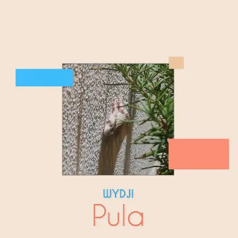 Pula (Original Mix) by Wydji