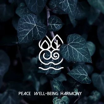 Peace well being harmony by Aman Glory