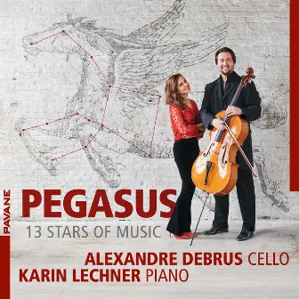 Pegasus - 13 Stars of Music by Karin Lechner