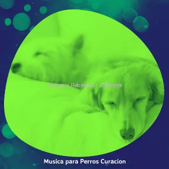 Cachorros Relajantes - Edificante by Música para Perros Curación