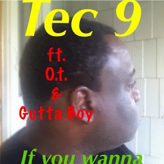 If You Wanna by Tec 9