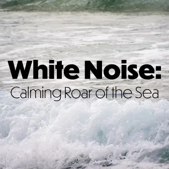 White Noise: Calming Roar of the Sea by Ocean Spa Music