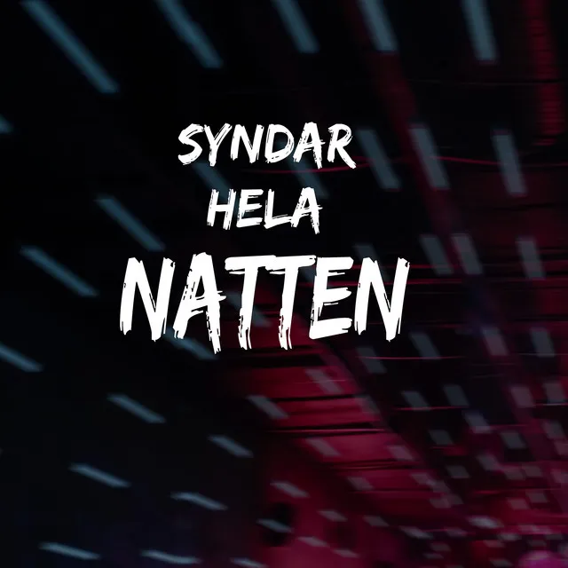 SYNDAR HELA NATTEN