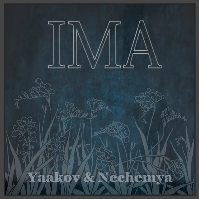 Ima