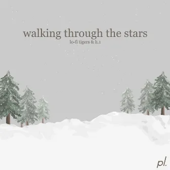 Walking Through The Stars by Lo-Fi Tigers