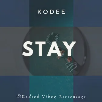 STAY by Kodee