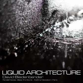 David Biedenbender: Liquid Architecture by Kathryn Goodson