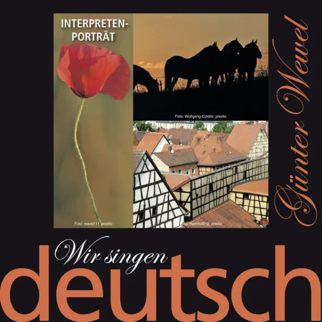 Wir singen deutsch - Interpreten-Porträt