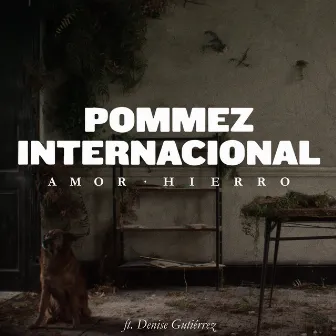 Amor Hierro by Pommez Internacional